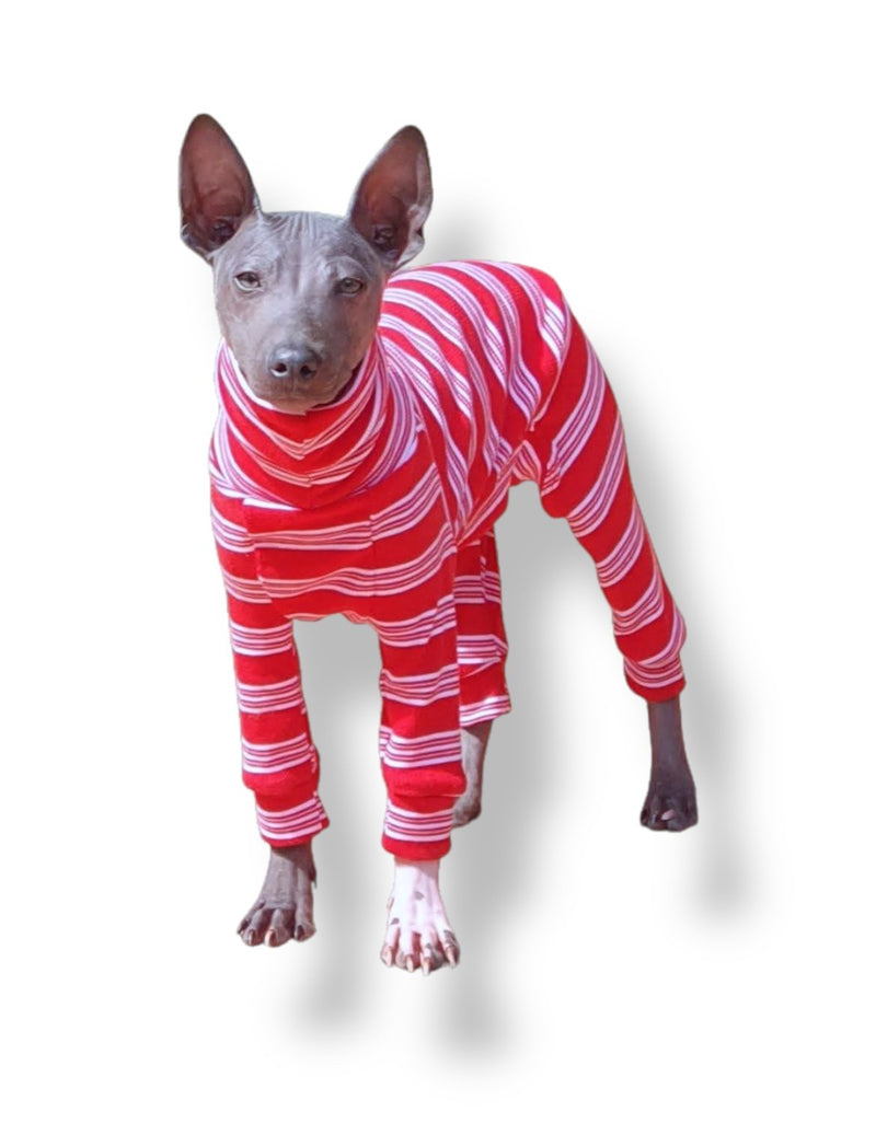 Load image into Gallery viewer, Ribbed Jersey Suit - Candy Cane
