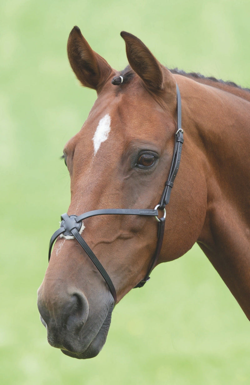 Load image into Gallery viewer, Velociti GARA Mexican Noseband
