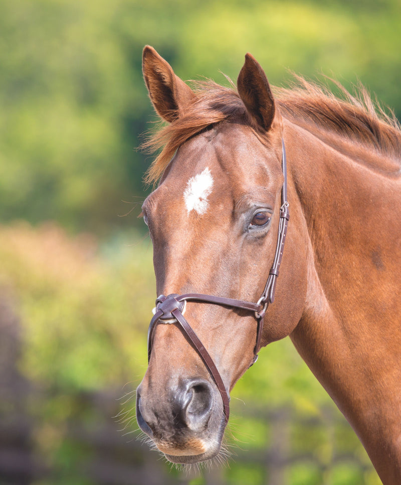 Load image into Gallery viewer, Velociti GARA Mexican Noseband
