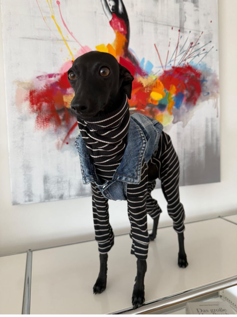 Load image into Gallery viewer, Denim Jacket - Cool Iggy Club
