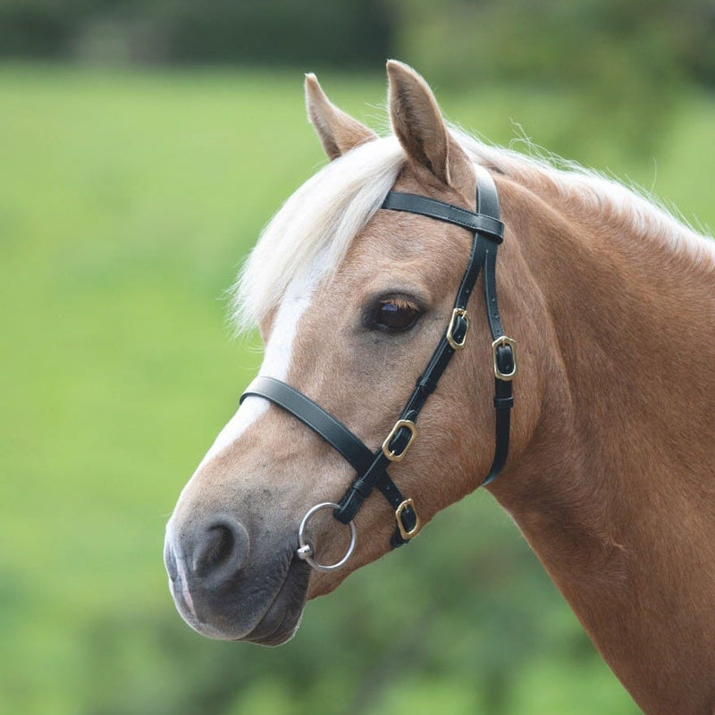 Load image into Gallery viewer, Velociti GARA Plain Inhand Bridle
