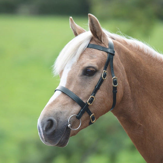 Velociti GARA Plain Inhand Bridle