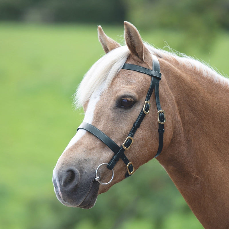 Load image into Gallery viewer, Velociti GARA Plain Inhand Bridle
