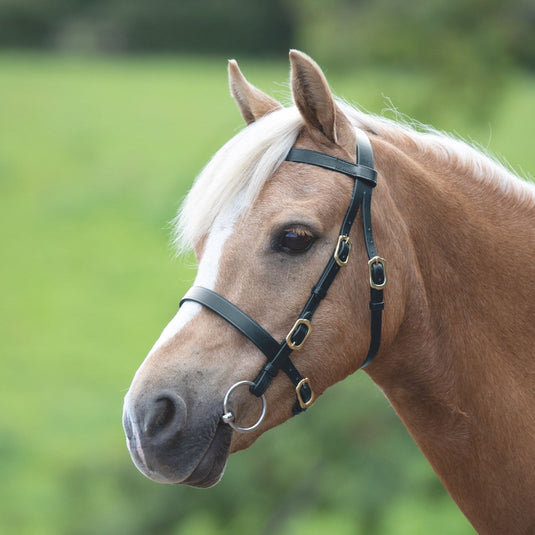 Velociti GARA Plain Inhand Bridle
