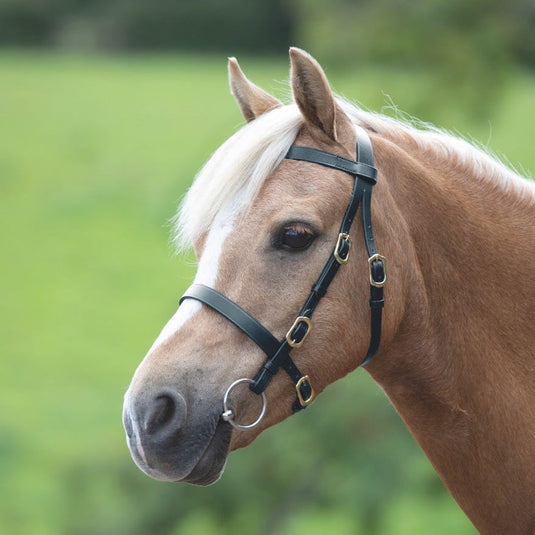 Velociti GARA Plain Inhand Bridle