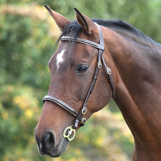 Velociti GARA Fancy Stitched Inhand Bridle