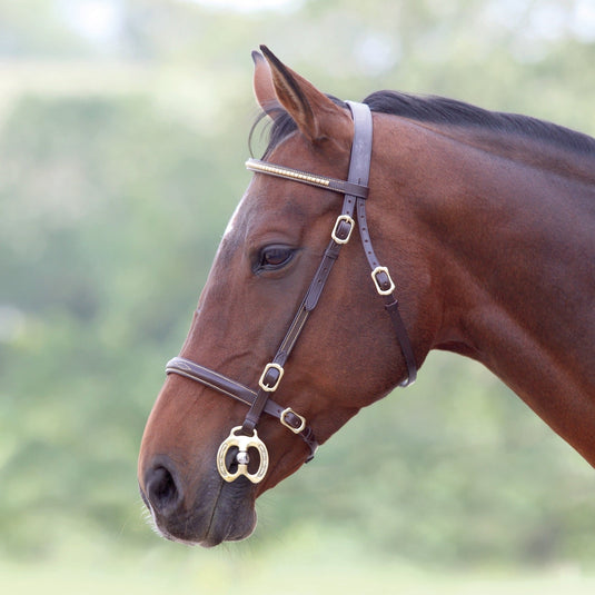 Velociti GARA Clincher Inhand Bridle