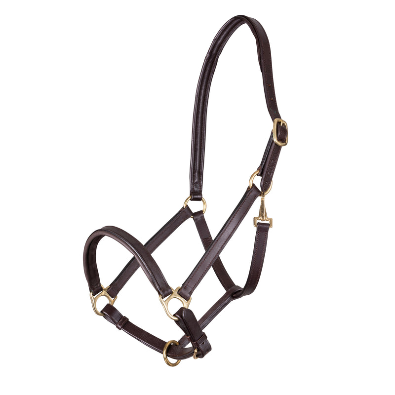 Load image into Gallery viewer, Velociti GARA Ragley Lined Leather Headcollar
