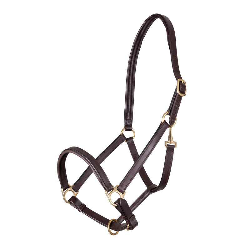 Load image into Gallery viewer, Velociti GARA Ragley Lined Leather Headcollar
