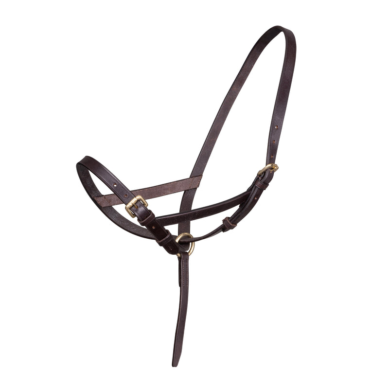 Load image into Gallery viewer, Velociti GARA Leather Foal Slip
