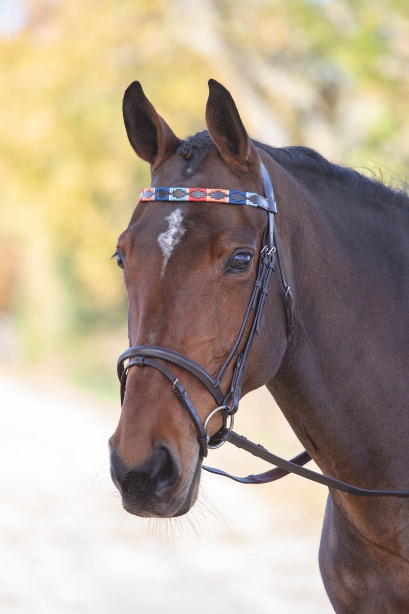 Load image into Gallery viewer, Velociti GARA Leather Polo Browband
