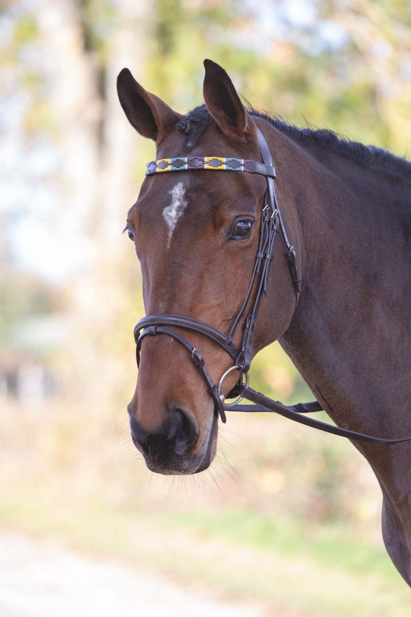 Load image into Gallery viewer, Velociti GARA Leather Polo Browband
