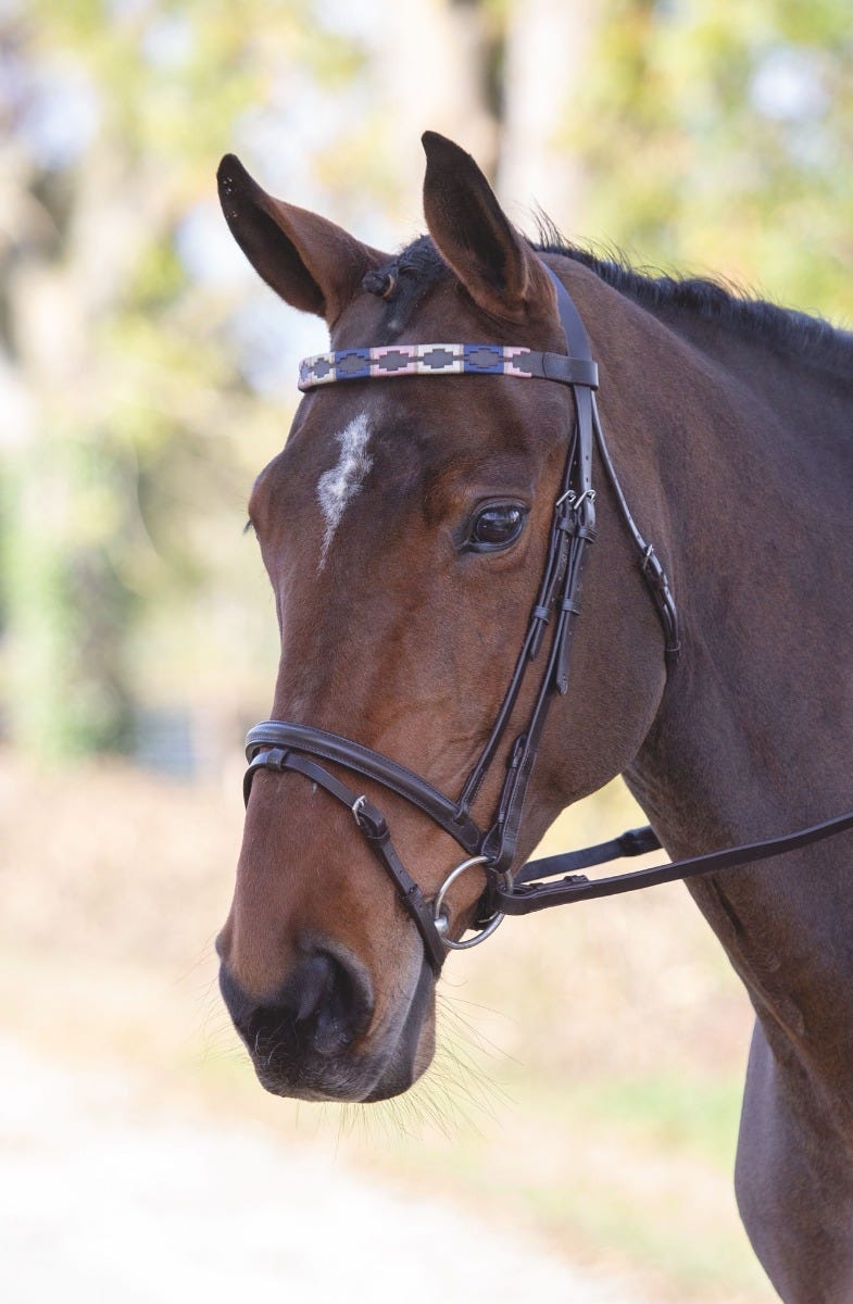 Load image into Gallery viewer, Velociti GARA Leather Polo Browband
