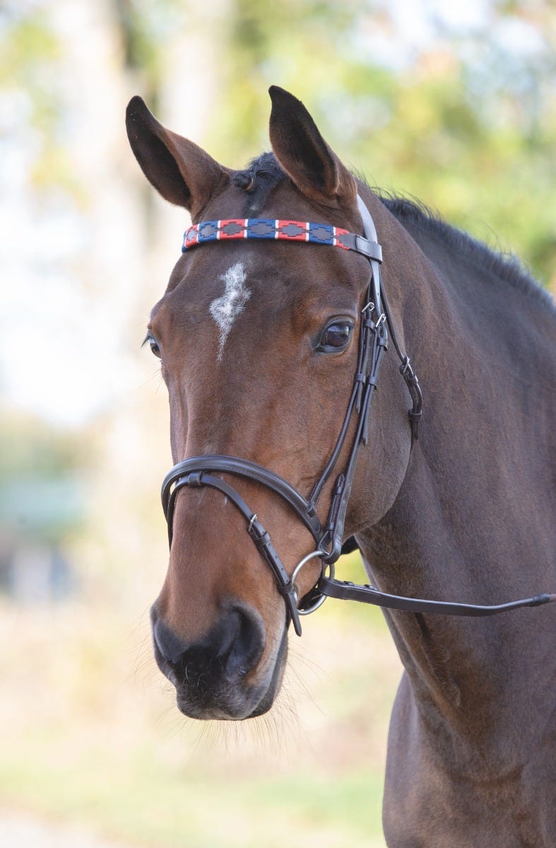 Load image into Gallery viewer, Velociti GARA Leather Polo Browband
