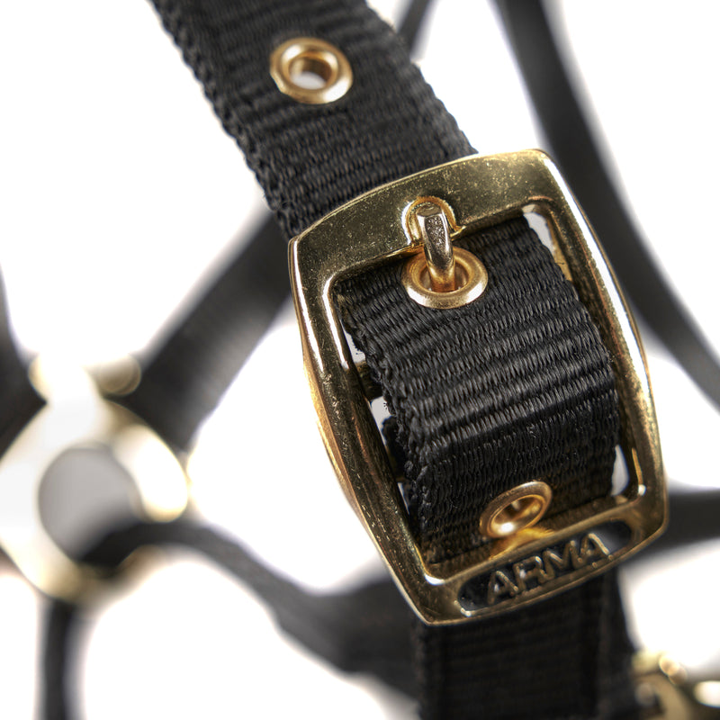 Load image into Gallery viewer, ARMA Control Headcollar
