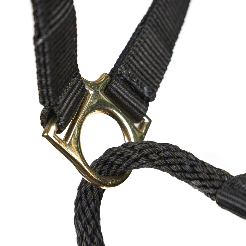 Load image into Gallery viewer, ARMA Control Headcollar
