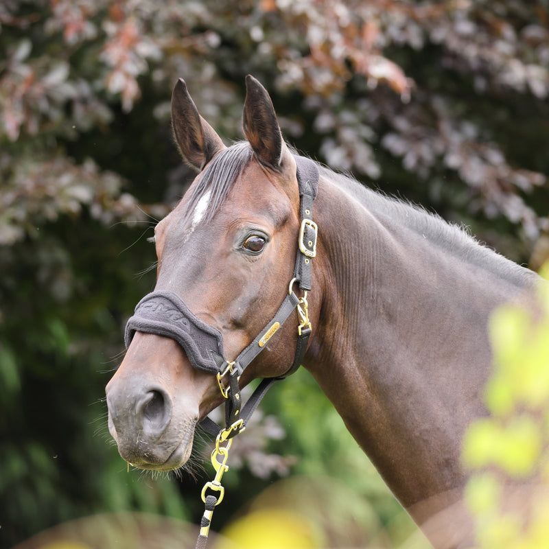 Load image into Gallery viewer, ARMA Fleece Headcollar &amp; Lead Rope

