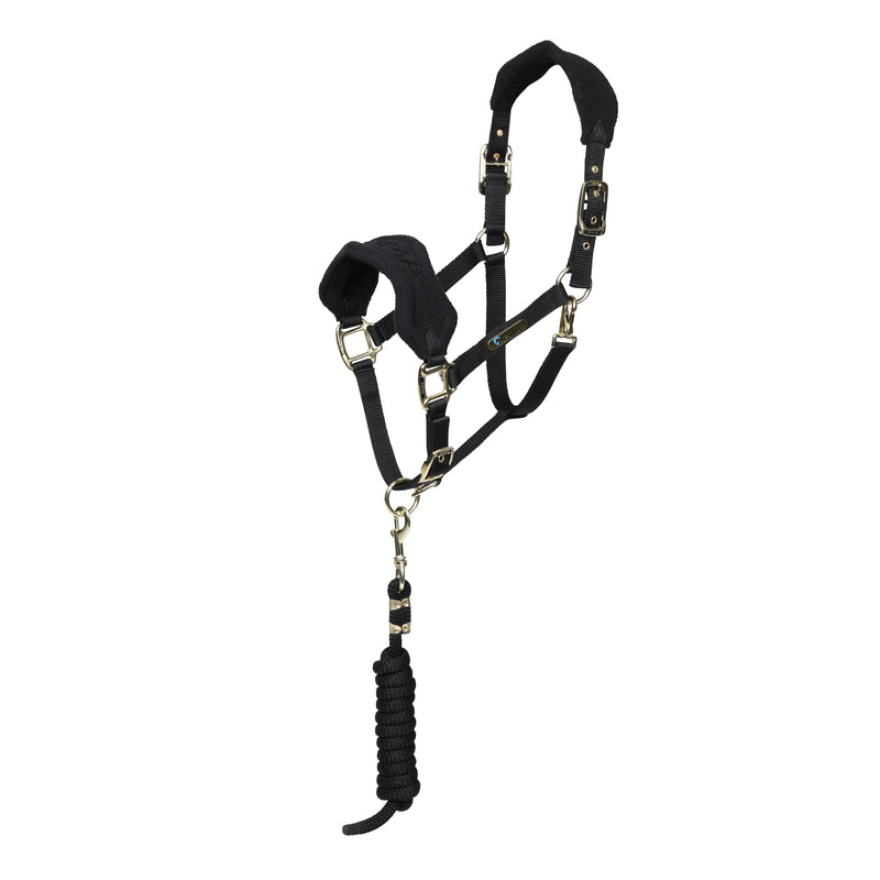 Load image into Gallery viewer, ARMA Fleece Headcollar &amp; Lead Rope
