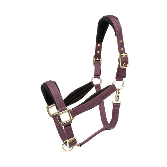 ARMA Padded Headcollar