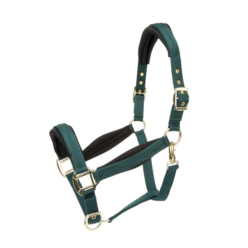 Load image into Gallery viewer, ARMA Padded Headcollar
