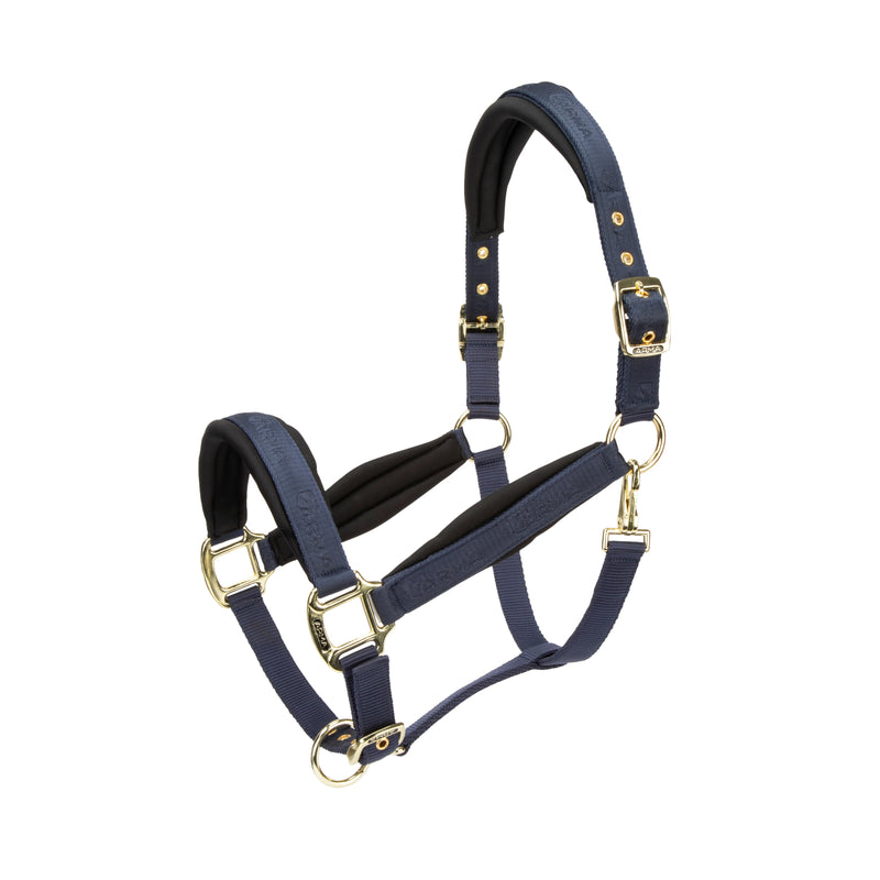 Load image into Gallery viewer, ARMA Padded Headcollar
