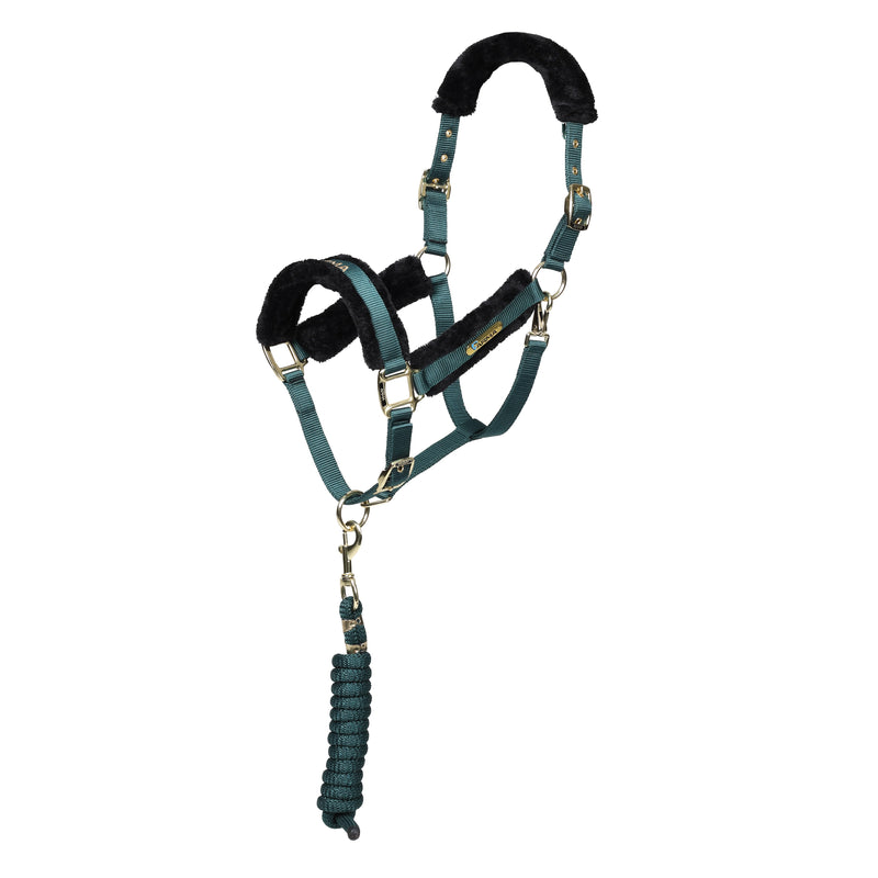 Load image into Gallery viewer, ARMA Logo Headcollar &amp; Lead Rope

