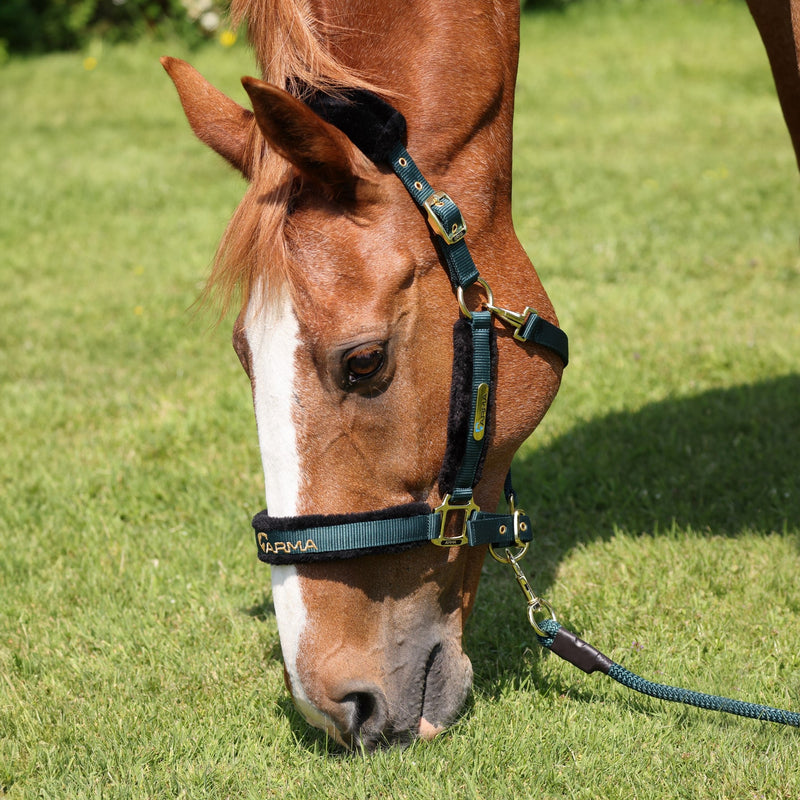 Load image into Gallery viewer, ARMA Logo Headcollar &amp; Lead Rope
