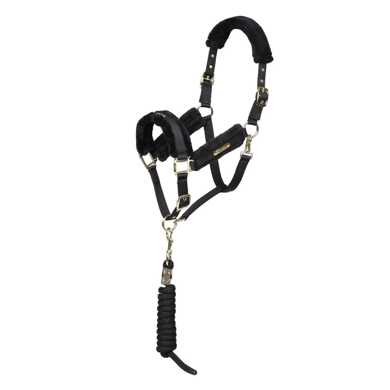 Load image into Gallery viewer, ARMA Logo Headcollar &amp; Lead Rope
