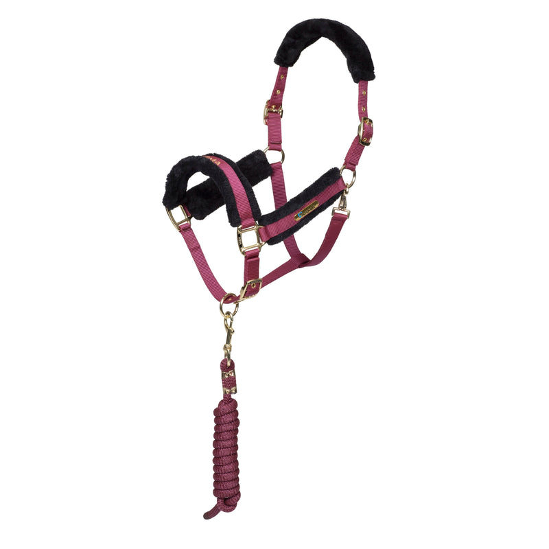 Load image into Gallery viewer, ARMA Logo Headcollar &amp; Lead Rope
