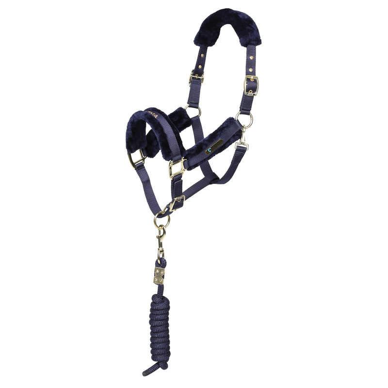 Load image into Gallery viewer, ARMA Logo Headcollar &amp; Lead Rope
