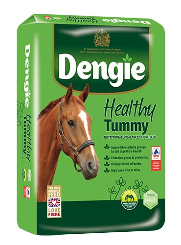 Dengie Healthy Tummy 20kg