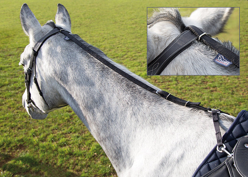 Load image into Gallery viewer, Shires Daisy Rein
