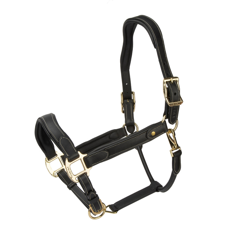 Load image into Gallery viewer, Velociti Lusso Lorca Leather Headcollar
