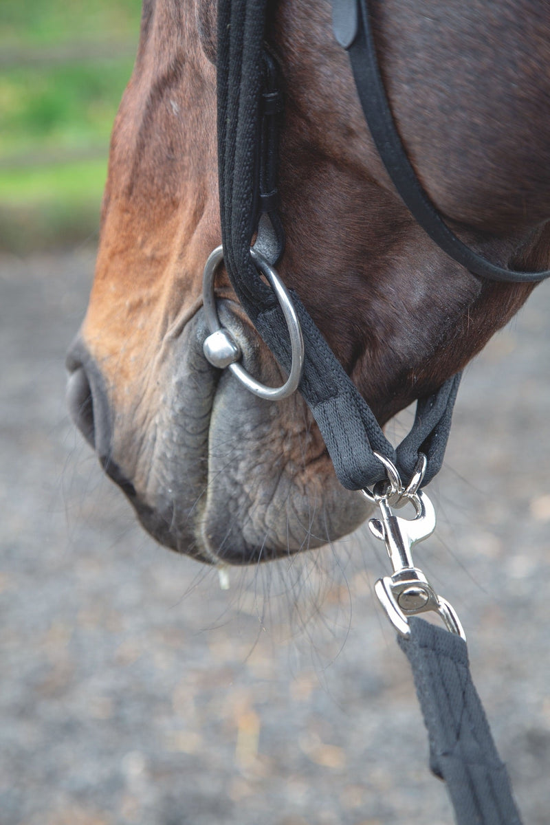 Load image into Gallery viewer, Shires Lunging Adapter
