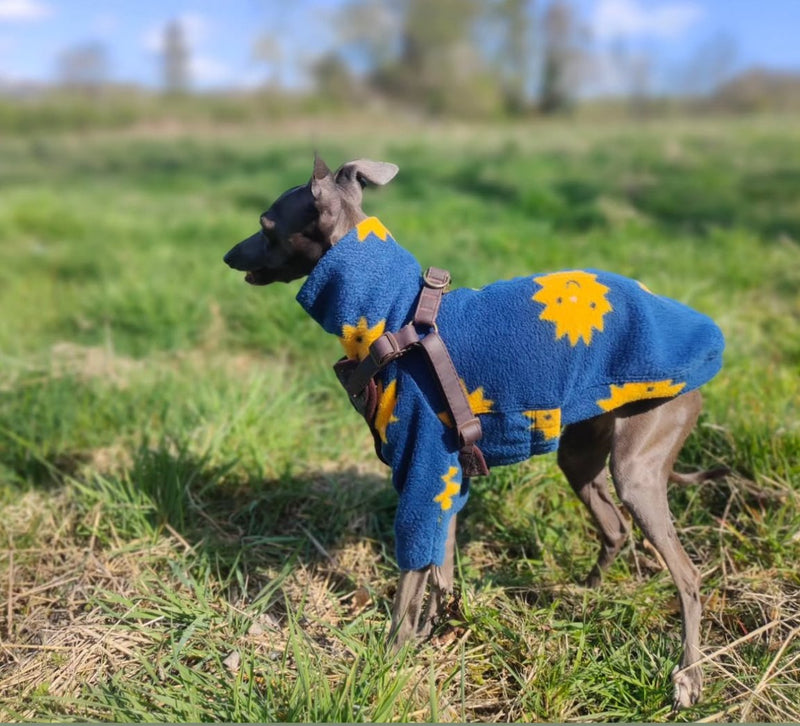 Load image into Gallery viewer, Fleece Jumper - Happy Suns
