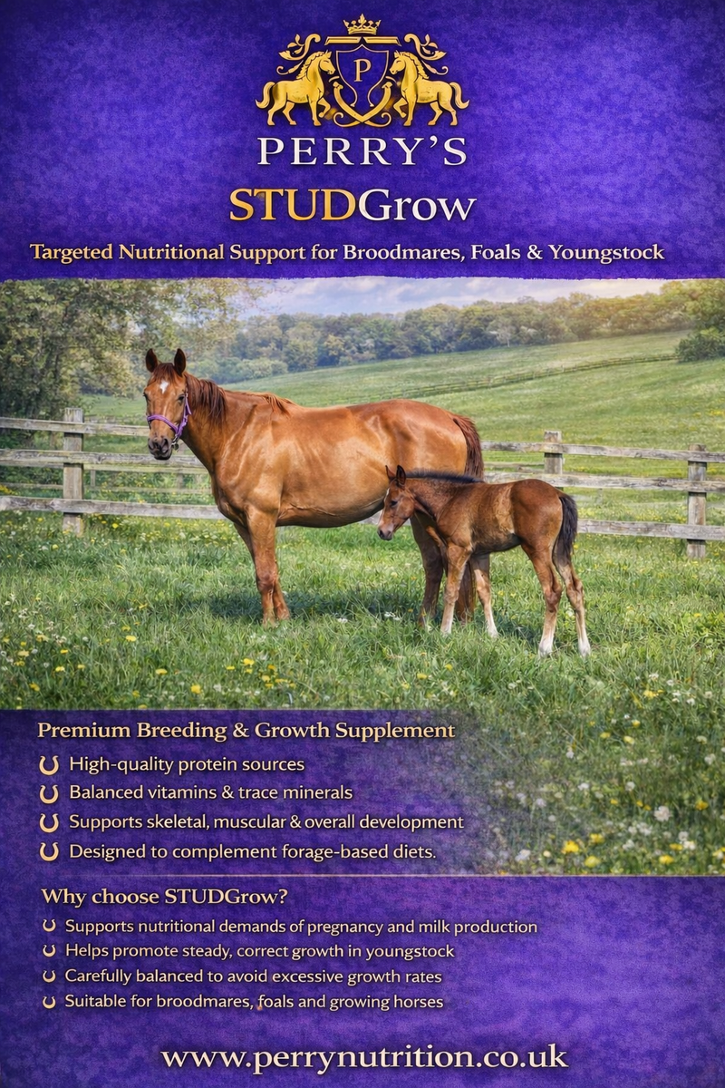 Load image into Gallery viewer, STUDGrow™ Advanced Breeding &amp; Youngstock Support 7k

