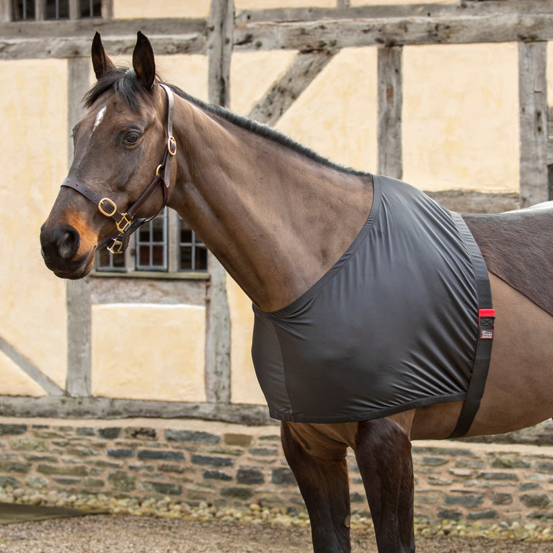Load image into Gallery viewer, Shires Anti-Rub Stretch Vest
