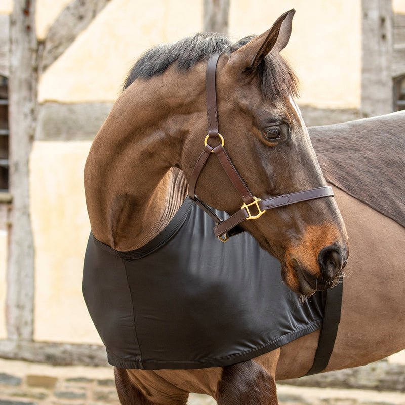 Load image into Gallery viewer, Shires Anti-Rub Stretch Vest
