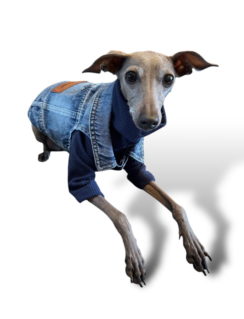 Load image into Gallery viewer, Denim Jacket - Cool Iggy Club
