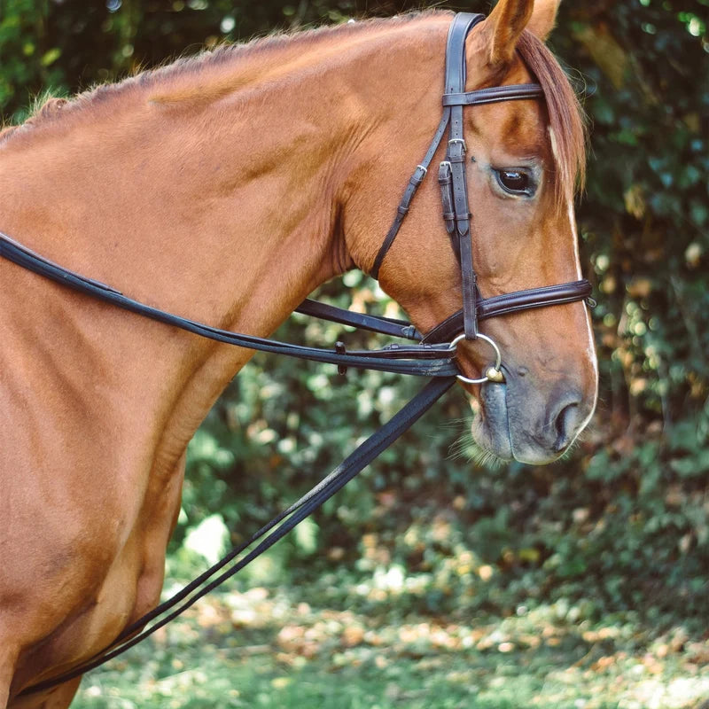 Load image into Gallery viewer, Equisential Padded Draw reins
