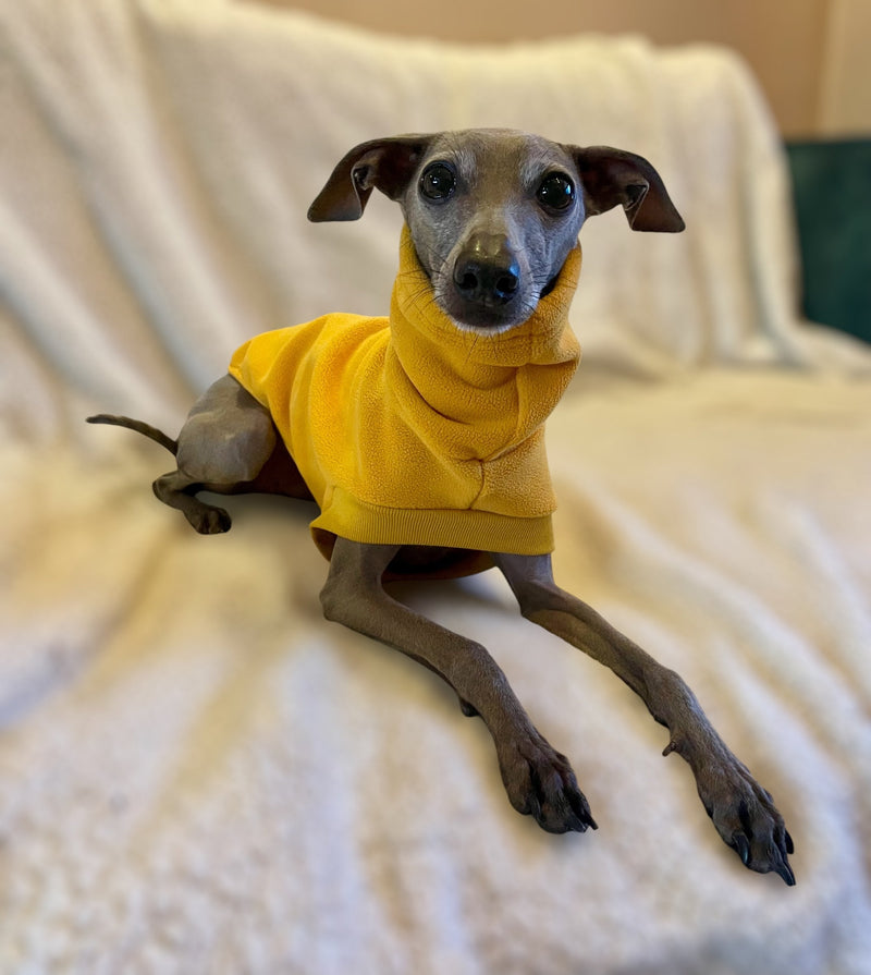 Load image into Gallery viewer, Open-Leg Fleece Vest - Yellow
