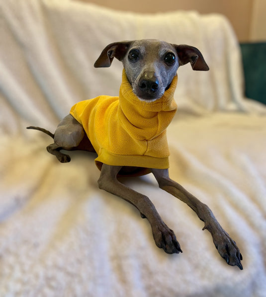 Open-Leg Fleece Vest - Yellow