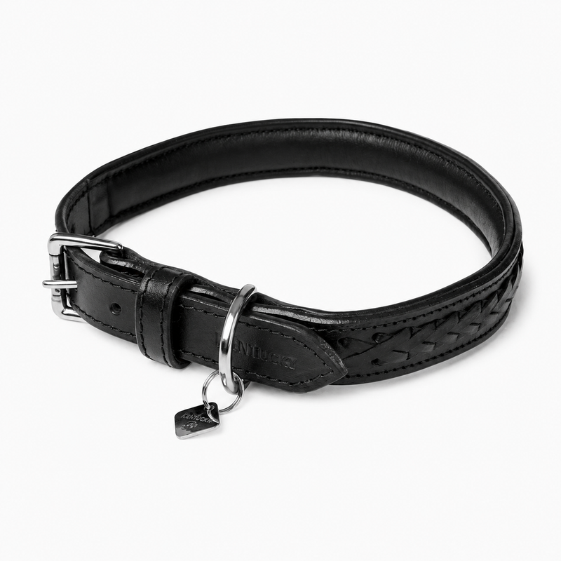 Load image into Gallery viewer, Le Mieux Oxford Dog Collar

