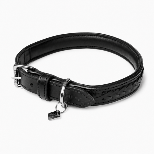 Le Mieux Oxford Dog Collar