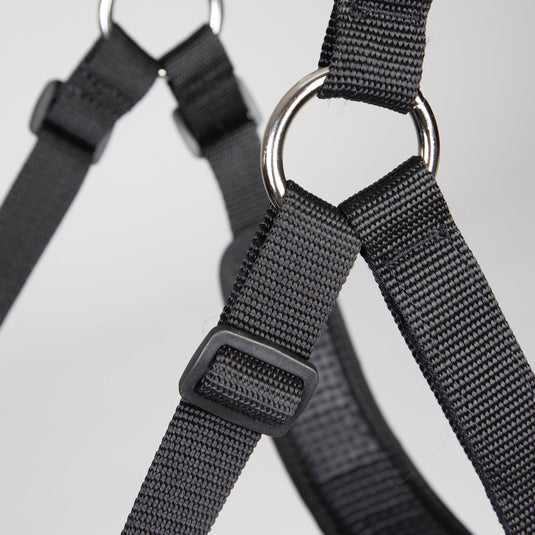 FreeGraze Comfort Grazing Muzzle