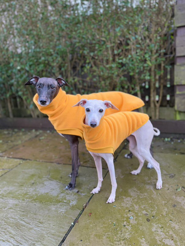 Load image into Gallery viewer, Open-Leg Fleece Vest - Yellow
