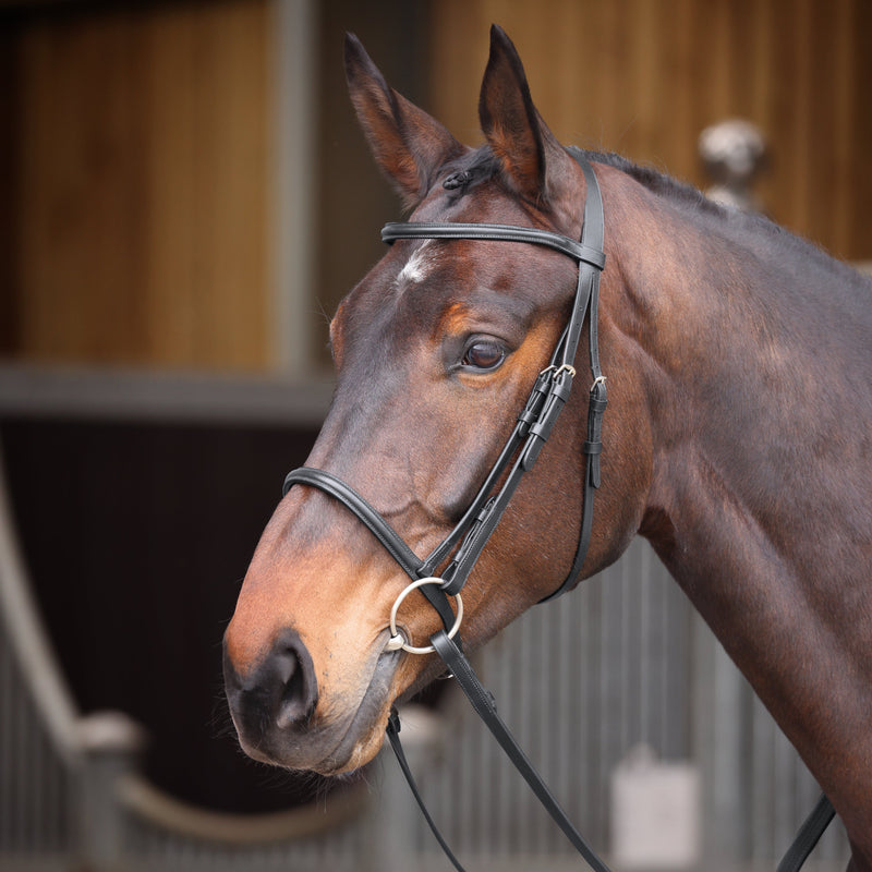 Load image into Gallery viewer, Velociti GARA Raised Cavesson Bridle
