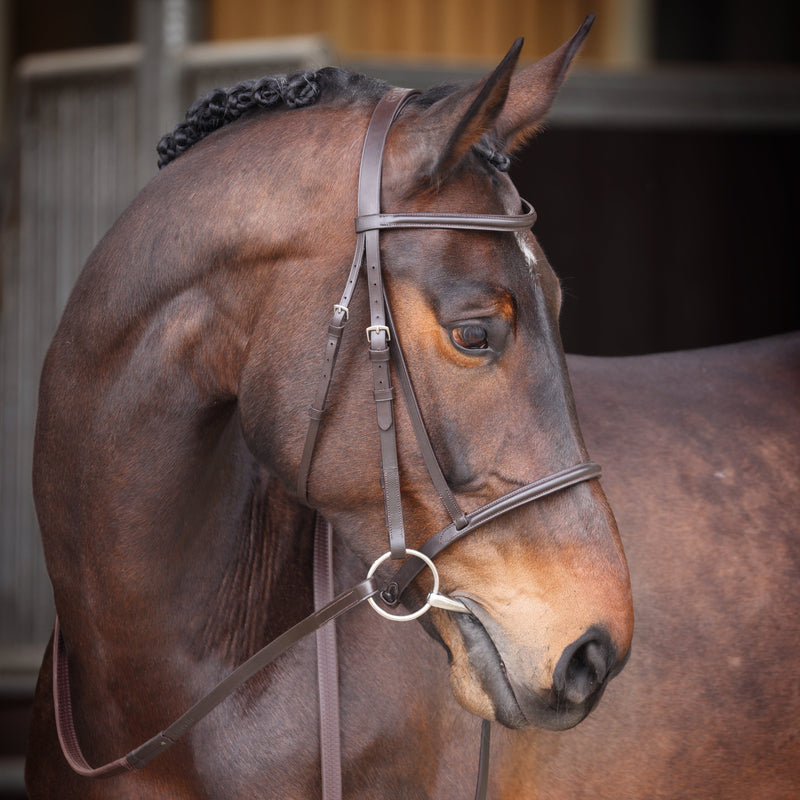 Load image into Gallery viewer, Velociti GARA Raised Cavesson Bridle

