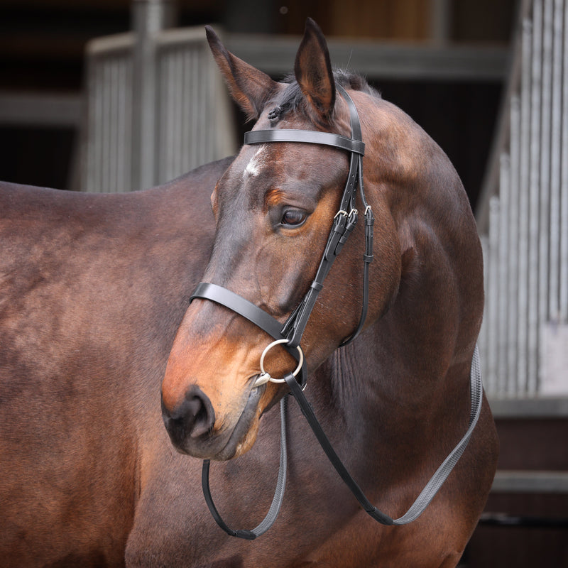 Load image into Gallery viewer, Velociti GARA Plain Bridle
