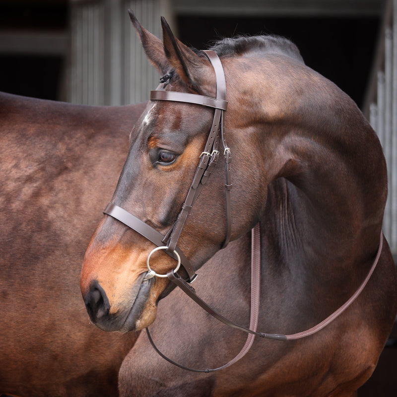 Load image into Gallery viewer, Velociti GARA Plain Bridle
